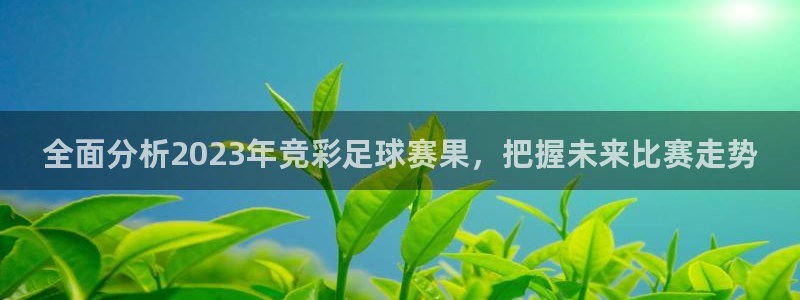 意昂平台登录入口2025：全面分析2