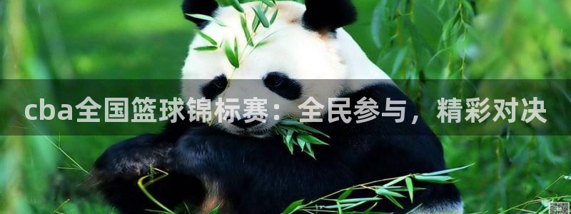 意昂登录：cba全国篮球锦标赛：全民