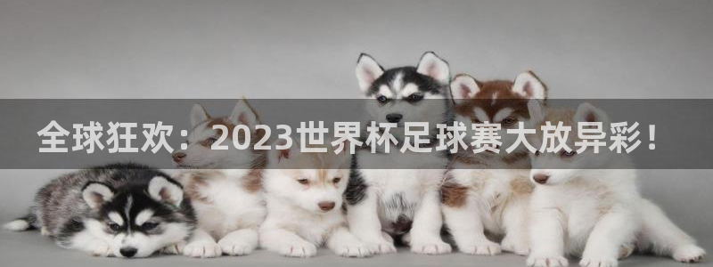  意昂体育是正规平台的吗：全球狂欢：2023世界杯足球赛大放异