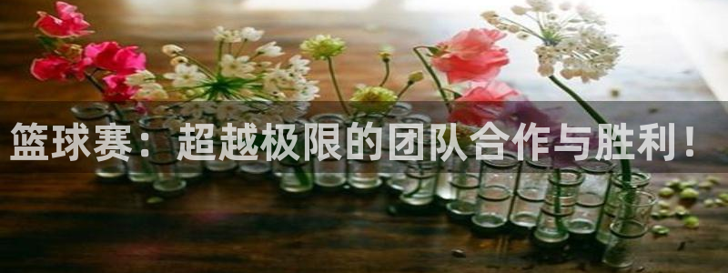 意昂体育官网