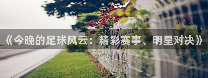 意昂官网入口登录：《今晚的足球风云：精彩赛事、明星对决》