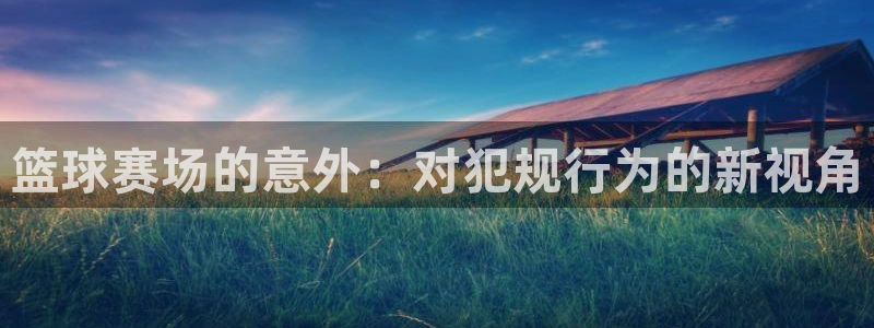  意昂体育app下载安装官网：篮球赛场的意外：对犯规行为的新视
