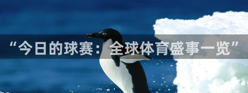 意昂体育官网：“今日的球赛：全球体育