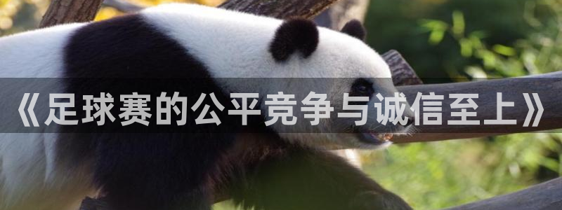 意昂登录：《足球赛的公平竞争与诚信至