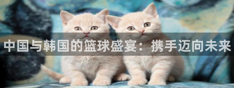 意昂体育app正版下载官网：中国与韩