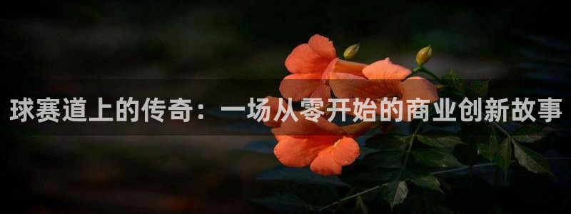 意昂官网注册平台：球赛道上的传奇：一