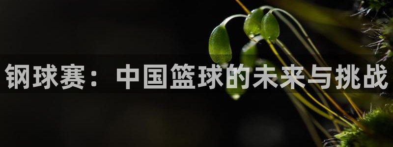  意昂平台登录方法：钢球赛：中国篮球的未来与挑战