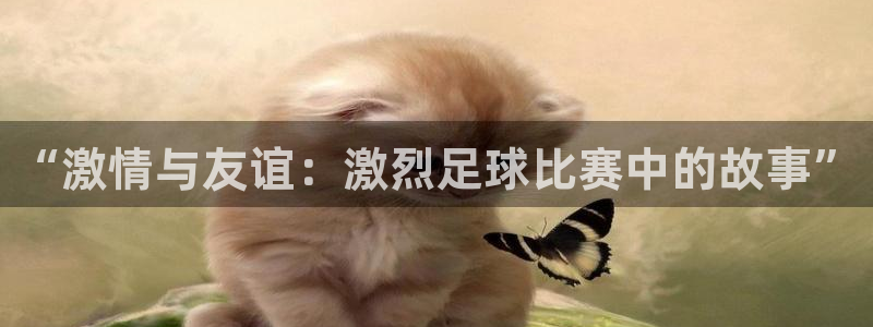 意昂平台官网：“激情与友谊：激烈足球