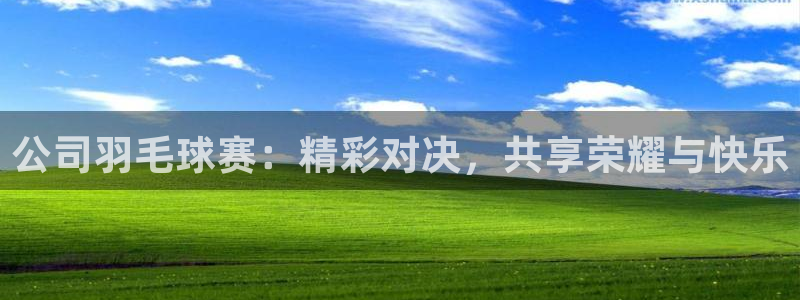 意昂体育app官方网站入口下载：公司