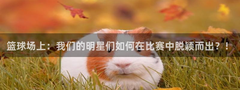 意昂官网注册平台：篮球场上：我们的明星们如何在比赛中脱颖而出