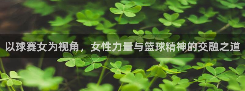 意昂平台官网：以球赛女为视角，女性力量与篮球精神的交融之道
