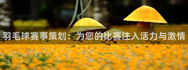 意昂体育app正版下载安装：羽毛球赛