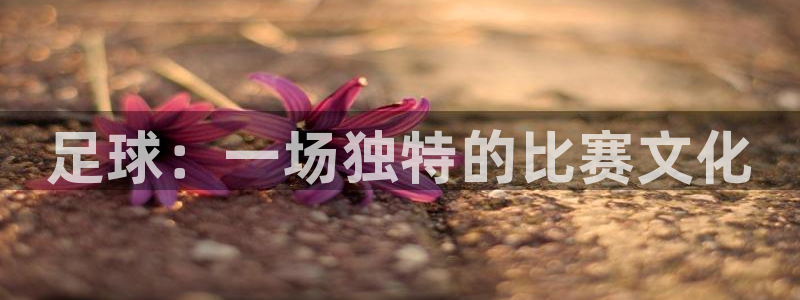  意昂体育app下载安装官网：足球：一场独特的比赛文化